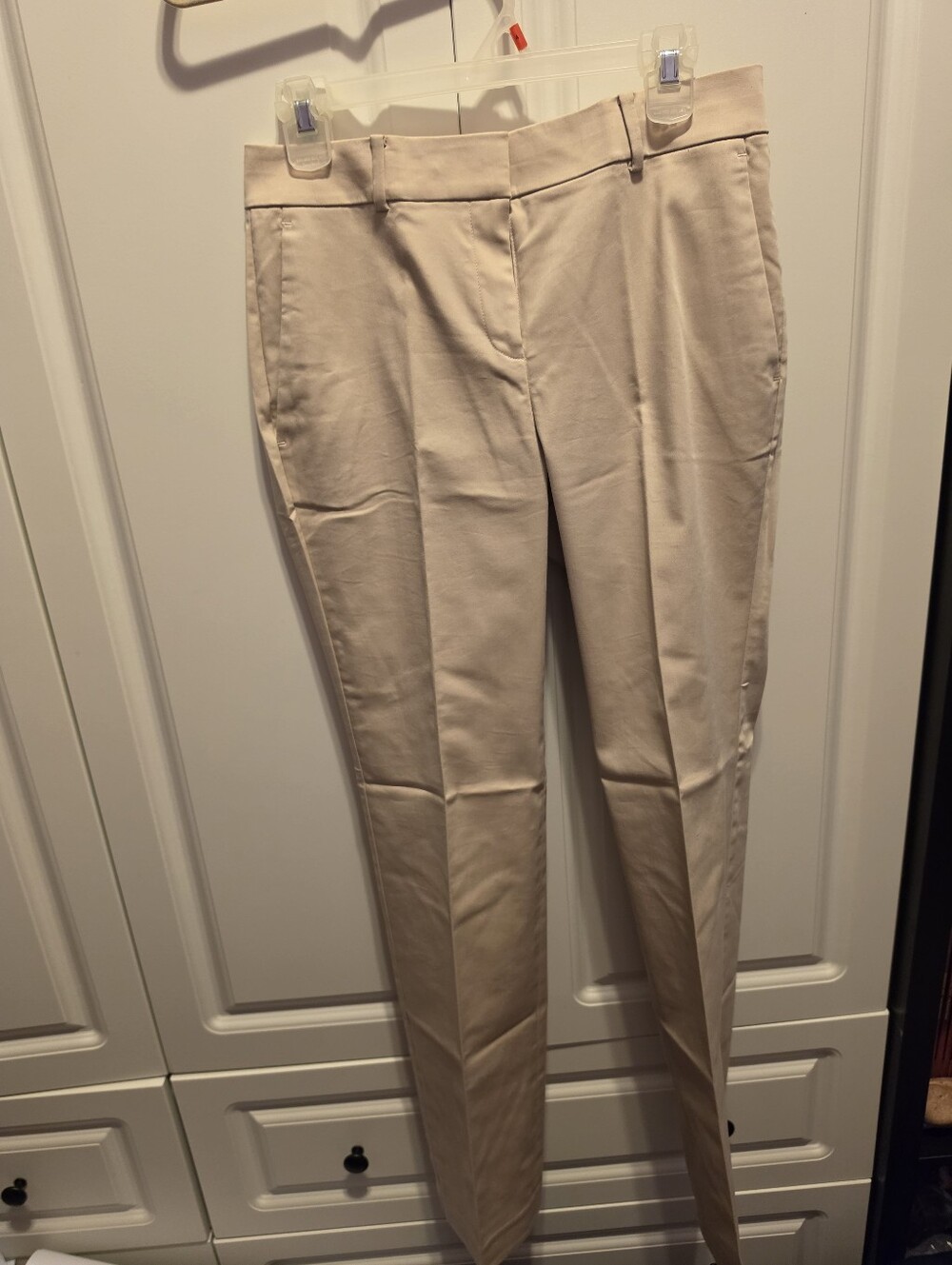 Ann Taylor Tan Women's Trousers
